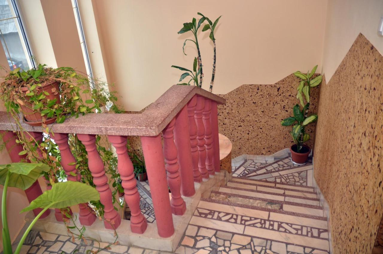 Pensiunea La Palaguta بايا ماري المظهر الخارجي الصورة